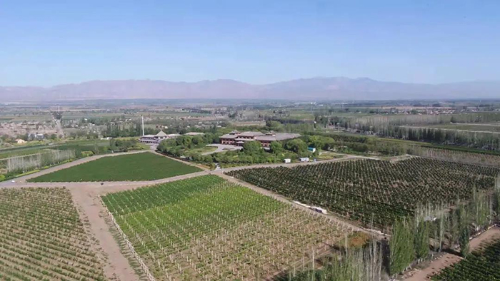 熱鬧非凡！農(nóng)墾西夏王玉泉國際酒莊萌娃成長試驗(yàn)田火熱報(bào)名中……